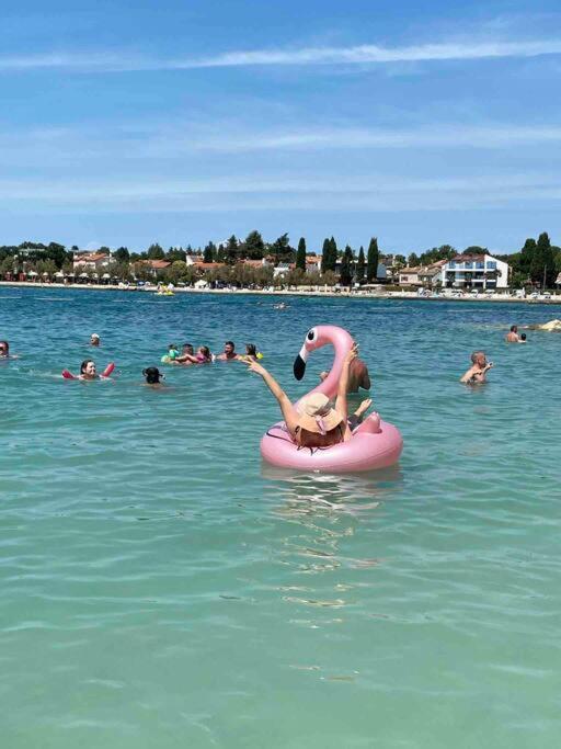 Appartamento Incantevole 300M Dal Mare リニャーノ・サッビアドーロ エクステリア 写真